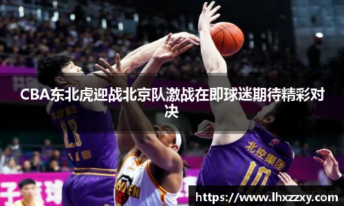 CBA东北虎迎战北京队激战在即球迷期待精彩对决
